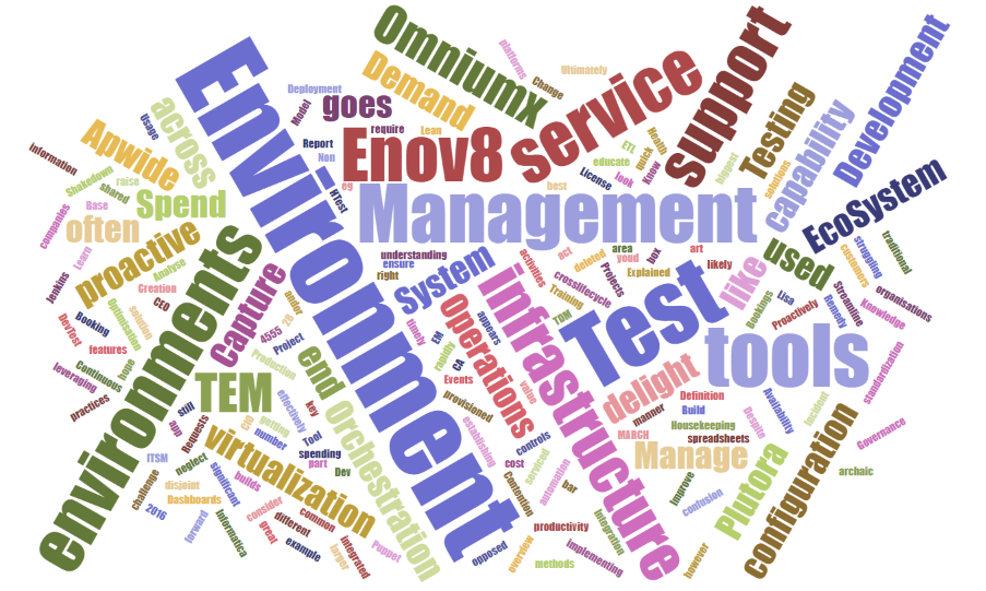 The Test Environment Management Word Cloud.